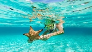 A young girl snorkeling and holding a starfish =
