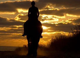 florida panhandle trail riding