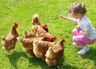 farm business skills