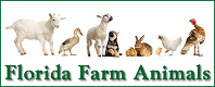 farm animal logo