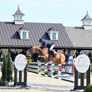 Terranova stables