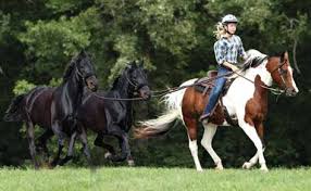 girl riding a horse
