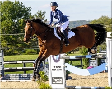Fox Lea Farm Horse Jumping