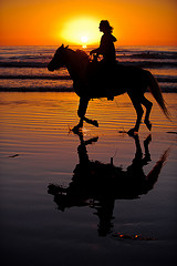 horse and rider riding into the sunset