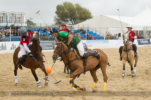 polo players and their horses